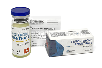 Testosterone Enanthate (Genetic) 10ml